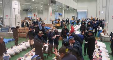 Toyosu Market tuna auction hand signs