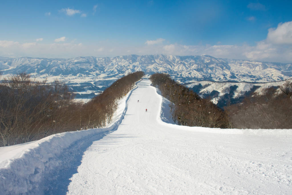 Ski run at Nozawa Onsen Snow Resort in Nagano